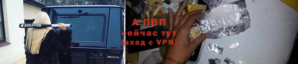 марки lsd Инта