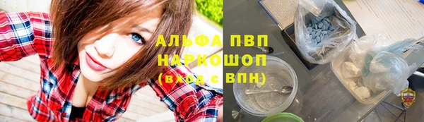 дмт Карпинск