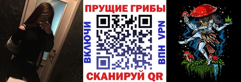 Псилоцибиновые грибы ЛСД  Моршанск 