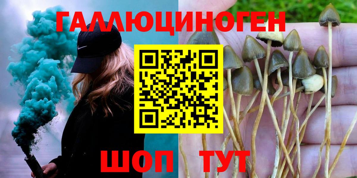 Моршанск  Галлюциногенные грибы Psilocybe  Галлюциногенные грибы MAGIC MUSHROOMS  Вход с VPN 