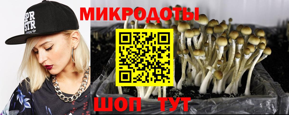 Псилоцибиновые грибы MAGIC MUSHROOMS Моршанск