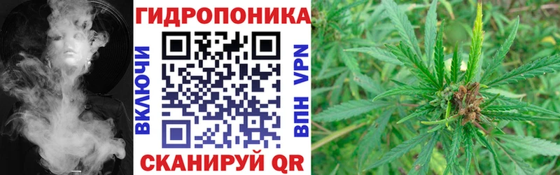 Бошки Шишки White Widow  купить наркоту  Моршанск 